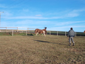 DSCN0170