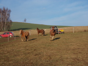 DSCN0176