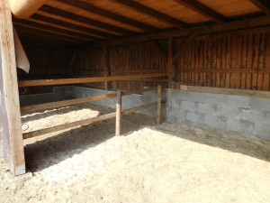 DSCN0492