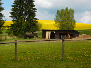 DSCN0655