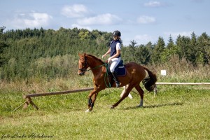 IMG_7319
