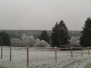 20141210_150835