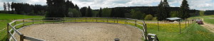 DSCN0646