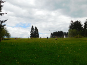DSCN0758
