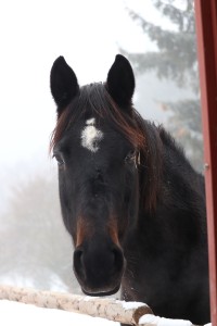 IMG_1804